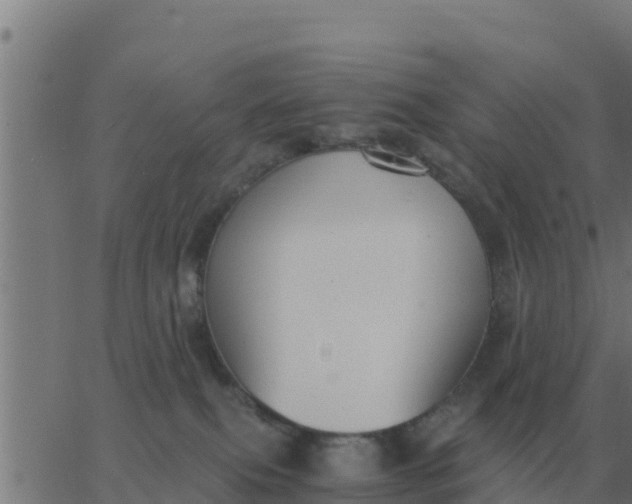 X0000062850087200601272052