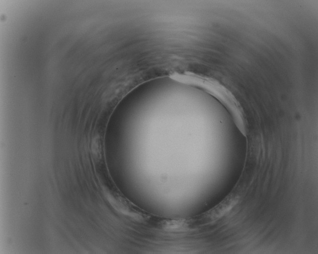 X0000062850088200601272052