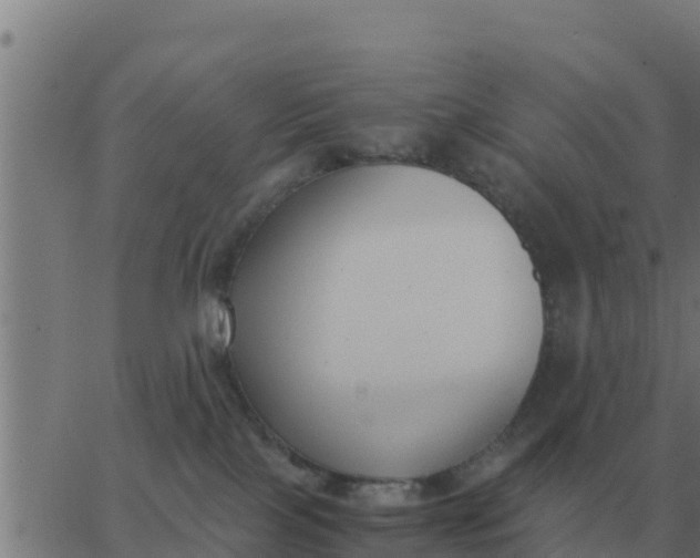 X0000062850089200601272052