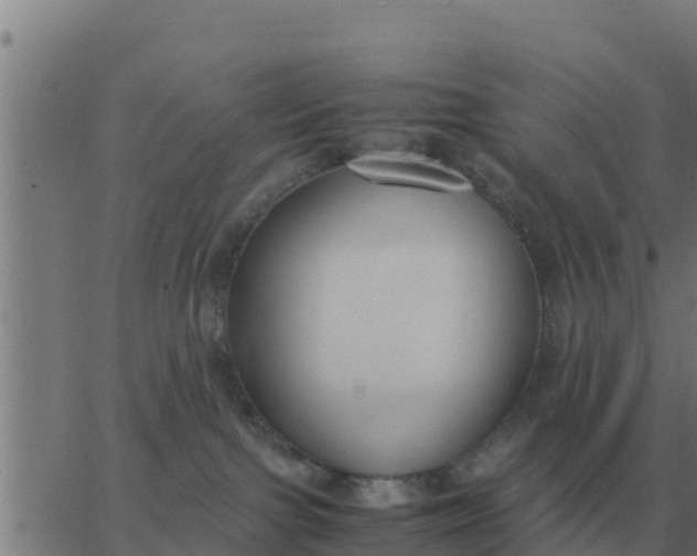 X0000062850091200601272052