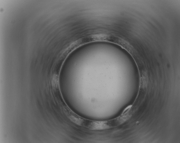 X0000062850093200601272052