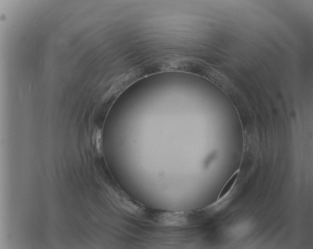 X0000062850094200601272052