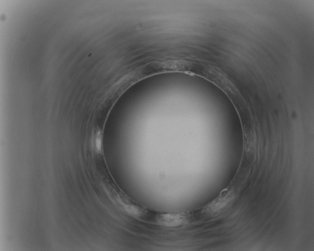 X0000062850095200601272052