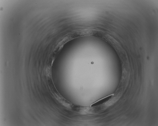 X0000062850096200601272052