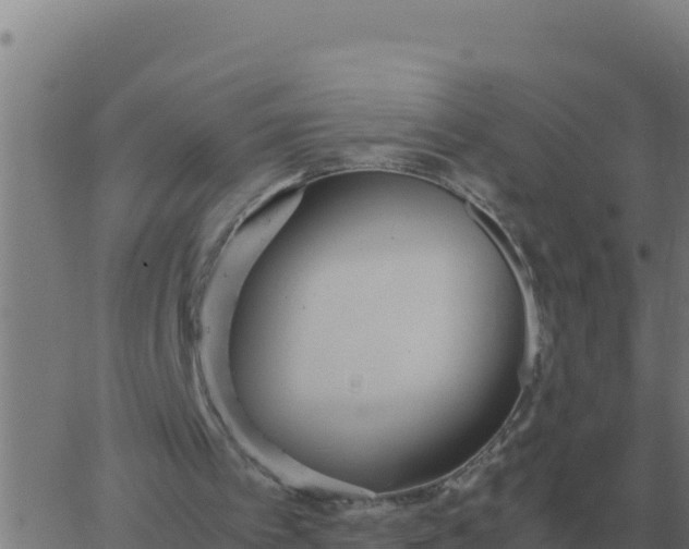 X0000062850097200601272051