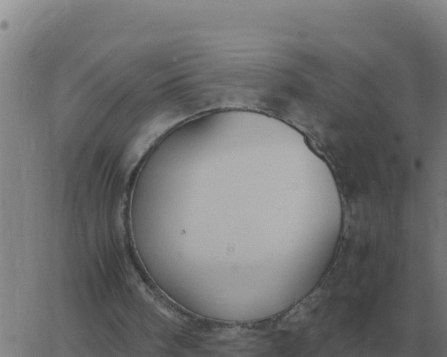 X0000062850098200601272051