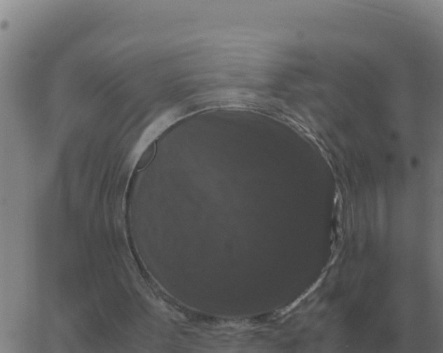 X0000062850099200601272051