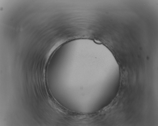 X0000062850100200601272051