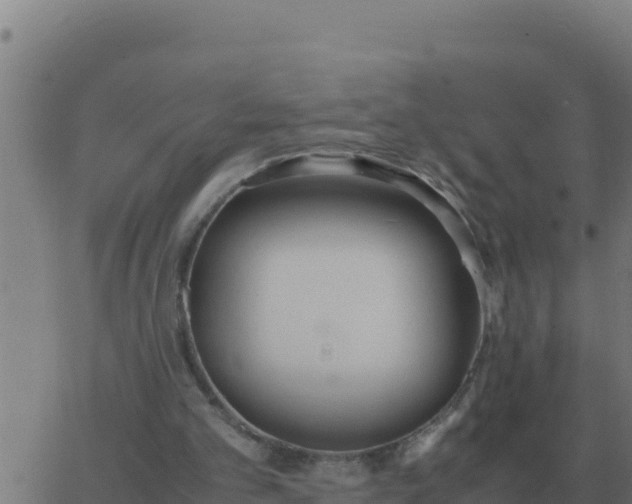 X0000062850101200601272051