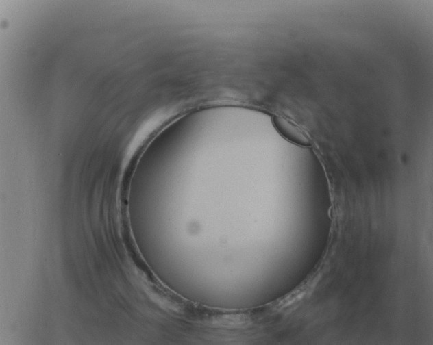 X0000062850102200601272051