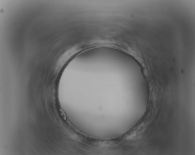 X0000062850103200601272051