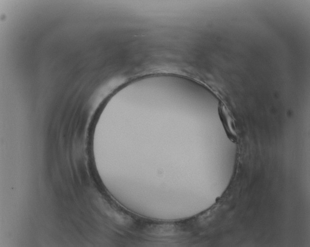 X0000062850104200601272051