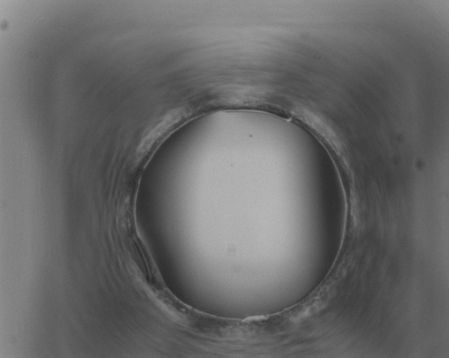 X0000062850105200601272051