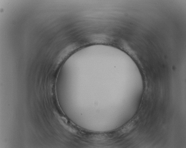 X0000062850106200601272051