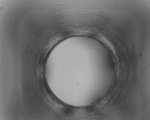 X0000062850107200601272051