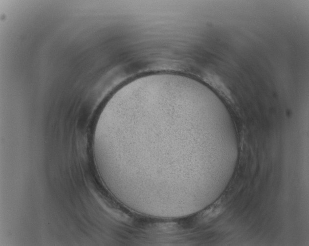 X0000062850108200601272051