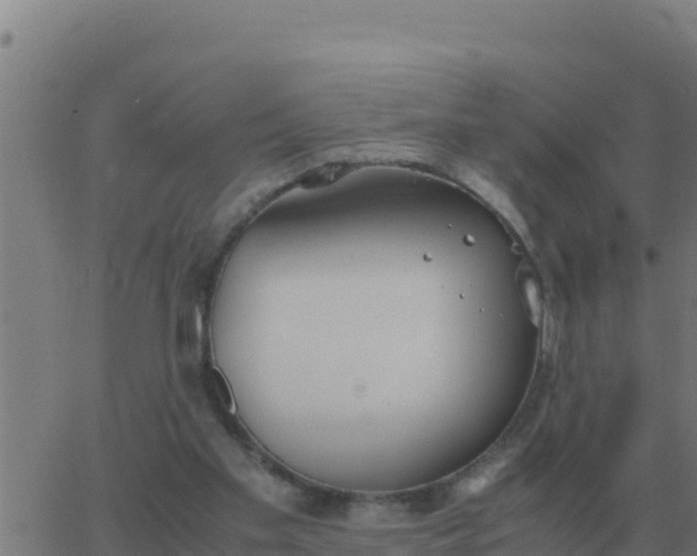 X0000062850109200601272051