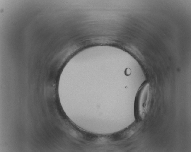 X0000062850111200601272051