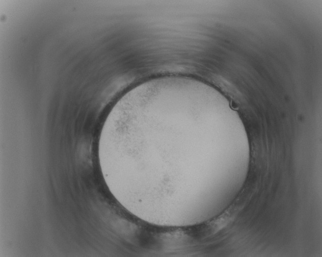 X0000062850112200601272051