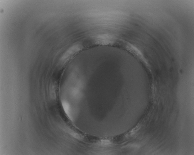 X0000062850114200601272051