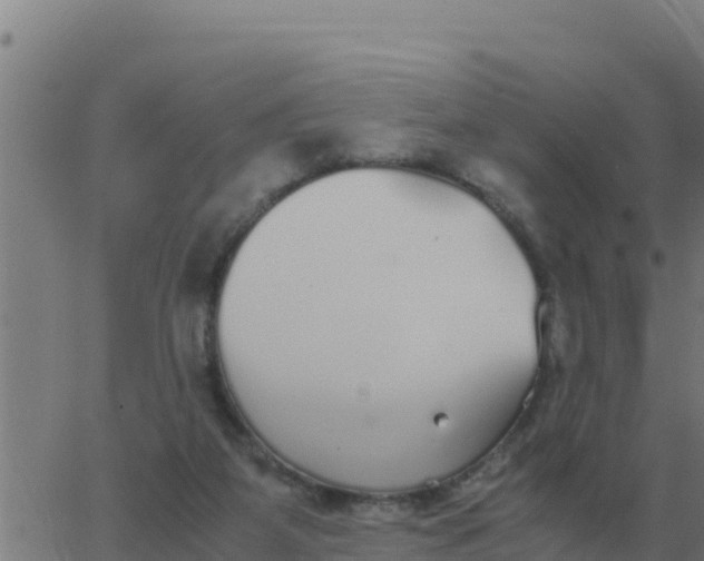 X0000062850115200601272051