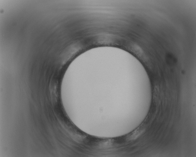 X0000062850116200601272051