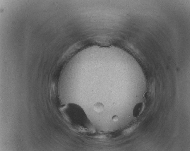 X0000062850117200601272051