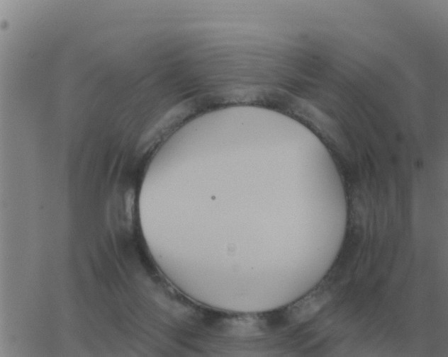 X0000062850118200601272051