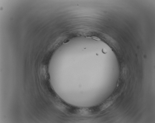 X0000062850121200601272051