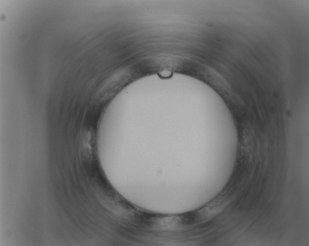 X0000062850122200601272051