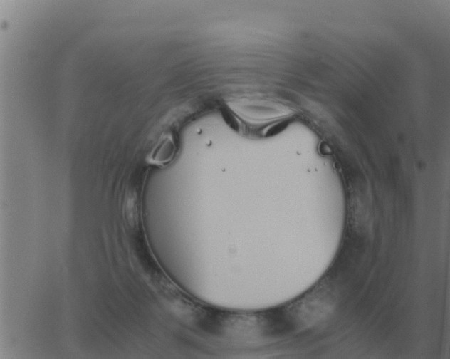 X0000062850123200601272051