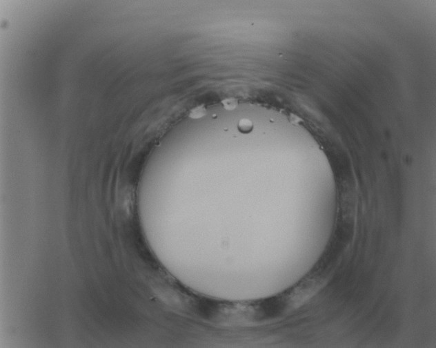 X0000062850125200601272051