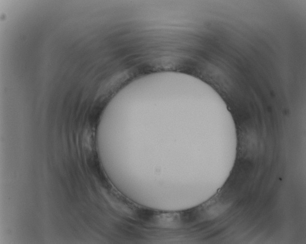 X0000062850126200601272051