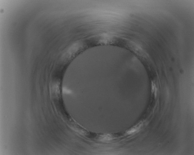 X0000062850127200601272051