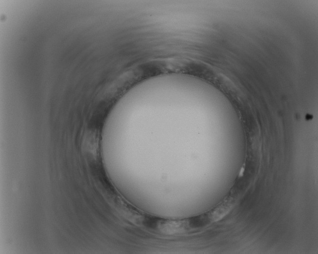 X0000062850129200601272051