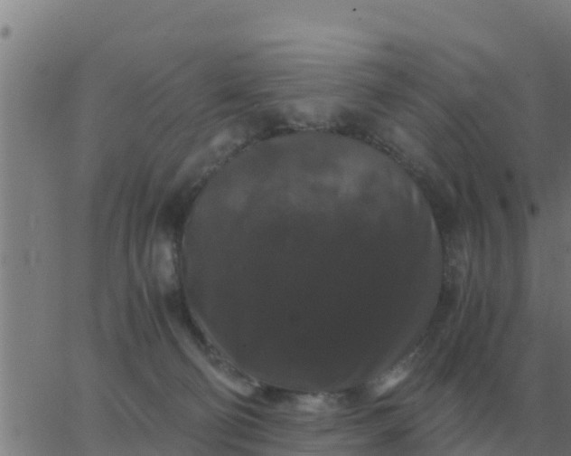 X0000062850130200601272051