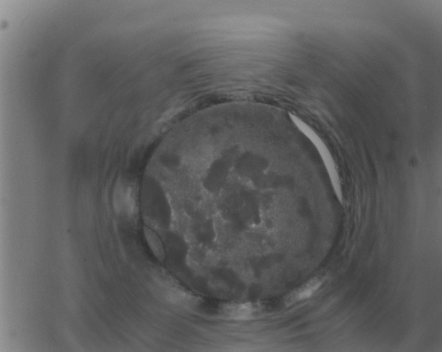 X0000062850131200601272051