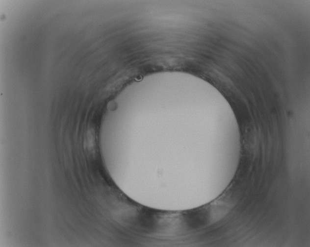 X0000062850132200601272051