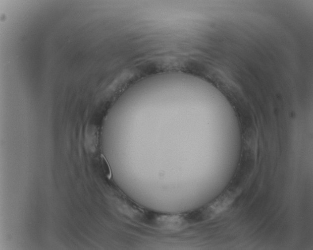 X0000062850133200601272051