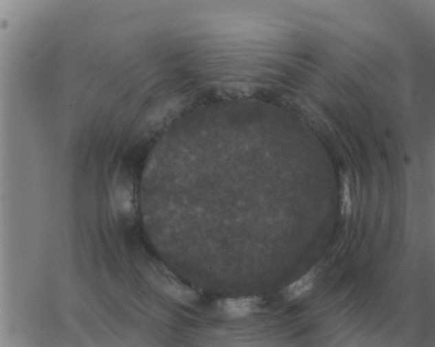 X0000062850134200601272051