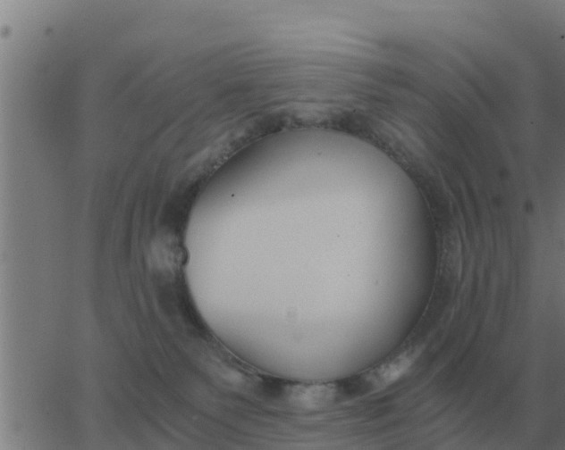 X0000062850135200601272051