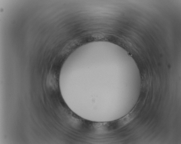 X0000062850136200601272051