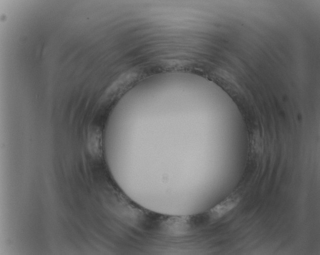 X0000062850138200601272051