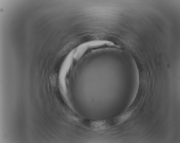 X0000062850139200601272051