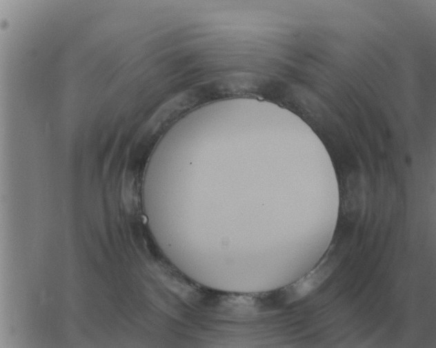 X0000062850140200601272051