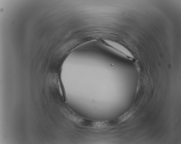 X0000062850141200601272051