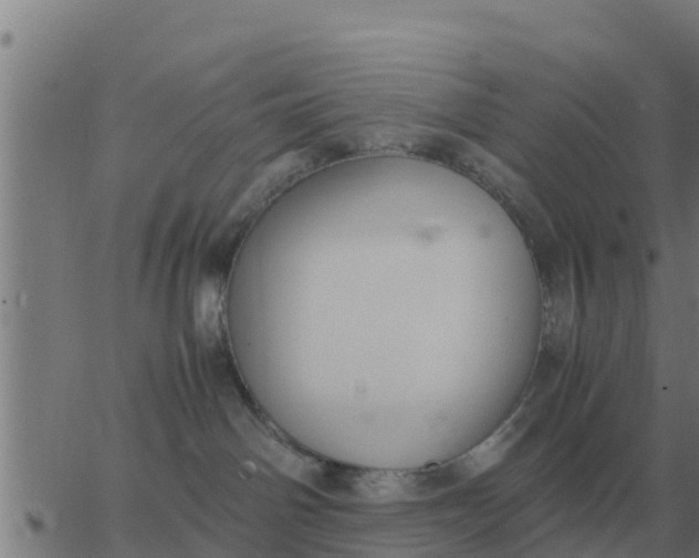 X0000062850142200601272051