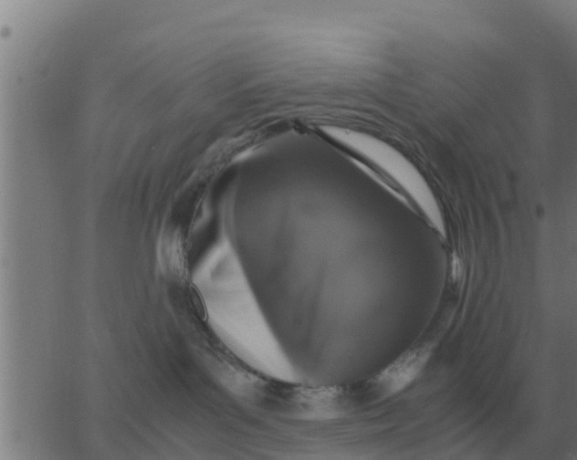 X0000062850143200601272051