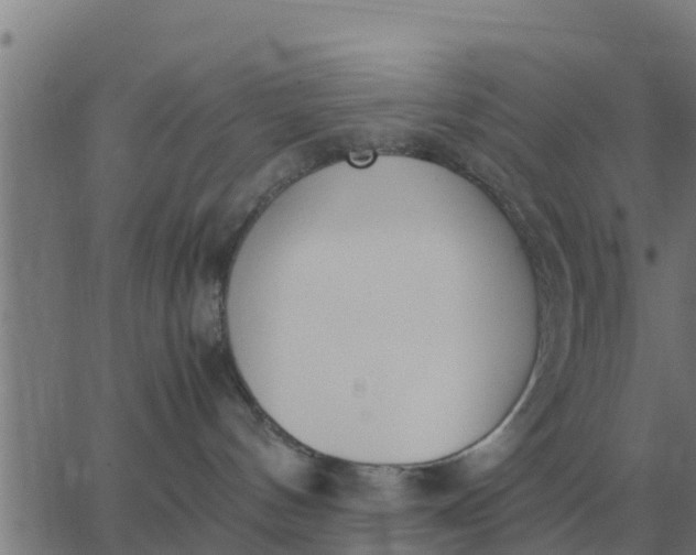 X0000062850144200601272051