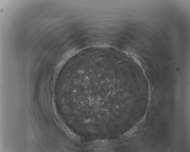 X0000062850145200601272050